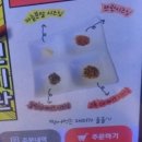 신미관