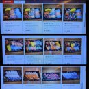 수원-1790 이미지