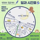 멍멍아 산책가자 | [대구 강아지 유치원]멍멍아 학교가자 대곡점 루프탑과 다양한 프로그램이 있는 반려견놀이터