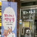 뽀샤시 펫살롱 이미지