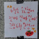 브라보미트 | 6월 더하기 7월 일상