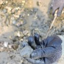 씨스테이 이미지