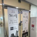 701아를고양이카페(cat in the art) 이미지