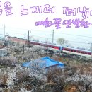 원동1공원 이미지