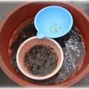 현풍시장 이미지