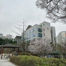 학점은행제로 시작부터 발급까지 현업 원장 취득 과정 에듀사이버 평생교육원 할인정보 솔직후기 내돈내산