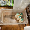 오산 데이트 하기 좋은 곳 돌짜장에 화산짬뽕 그리고 동파육까지 오산 맛집 다미식