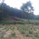 버들골농장 이미지