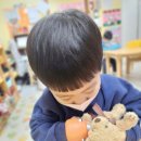 푸른하늘동물병원 이미지