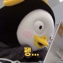 나폴리 민박 이미지