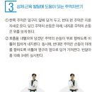 호랑이태권도 이미지