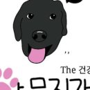 The 건강하게 야무지개 이미지