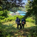 제천황기명태 이미지