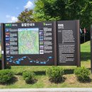 DMZ평화의길 29코스 1부 : 양구통일관 그리팅맨과 먼멧재길 지뢰꽃 이미지