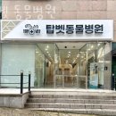 탑 동물병원 | 서초동 동물병원 탑벳 동물병원 진료시간 접근성 이용후기