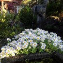 서귀포통나무집 이미지