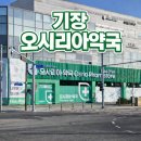 일번약국 | 기장 오시리아약국 | 대형약국 창고형약국 방문 후기