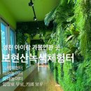 산본녹색작은도서관 | 2026년 :: 영천 보현산녹색체험터 방문후기 / 아이랑 가볼만한 곳 (영천 아이랑)