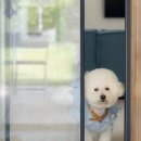 궁리펜션 이미지