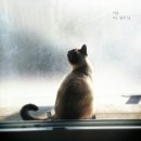 어느 맑은 날 이미지