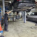 월드뉴모터스 이미지