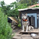 섭이하우스 이미지