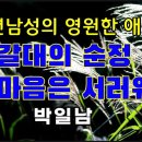 갈대의 순정.마음은 서러워도//박일남 이미지