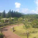 붉은오름자연휴양림4 이미지