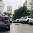 늘조은동물병원 이미지