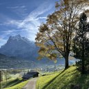 보샬레 | 스위스 그린델발트 샬레 예약하는 방법 사이트 공유 (제발 이거 읽어보고 샬레 예약하세요)