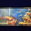 해양생태전시관 이미지