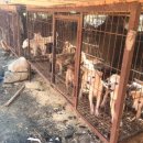 위드농장 이미지