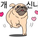 비비큐대전 이미지