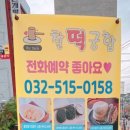 찰떡궁합영의정인절미