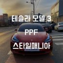 디에스디테일링 - 남구 신선로 172 | 테슬라 모델3 PPF 및 가죽코팅 시공!![송파 PPF ,테슬라 썬팅, 가죽코팅,유리막코팅 전문점] 스타일매니아