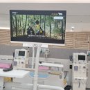 으뜸24정형외과의원 | 일산 중산마을 해태쇼핑 24시간 투석전문 희망의원 개원식 후기