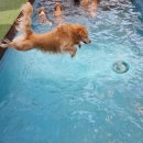 태담이네 하우스 이미지