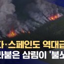 [뉴스] 캐나다, 스페인도 역대급 산불 이미지