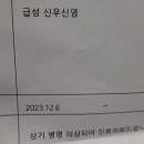 방광염 지나서 요도염땜에 동네 비뇨기과갔었는데 이미지