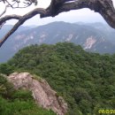 삼불정사