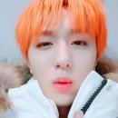 차니차니 이미지