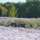 인생농원