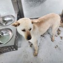 해남동초등학교 정문 이미지