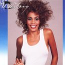 Didn't We Almost Have It All - Whitney Houston - 이미지