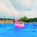 버스정류장 06-211 | 서울 야외수영장🏖️ 한강공원 수영장 예약 입장료 야간 먹거리 총정리