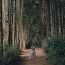 백번길 게스트하우스 이미지