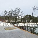 태안 오토캠핑장 솔향기길관광농원캠핑장, 1박 체험 후 솔직한 평가 🏕️