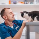 충북동물병원 이미지