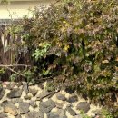 애월포구풍경 민박 | 제주 애월숙소 찾고 있다면, 진짜 쉼이 있는 제주민박 쏘그베