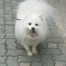 김영옥미용실 이미지